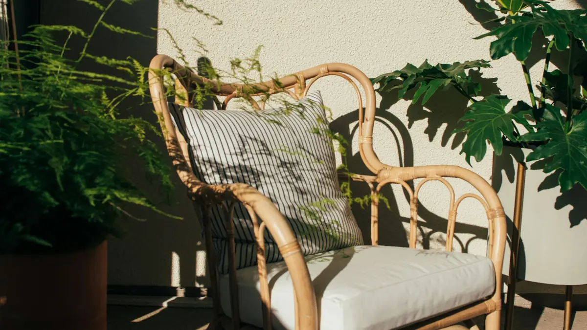 Poltrona de rattan com almofada listrada cercada por plantas e luz natural lateral.